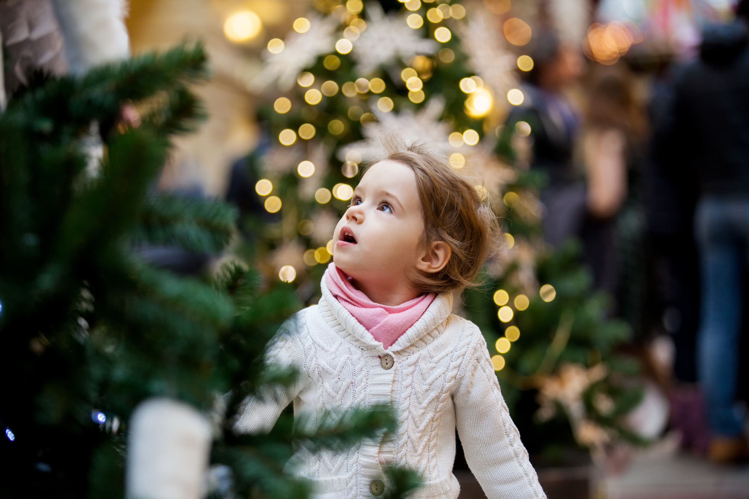 little girl looking at christmas trees