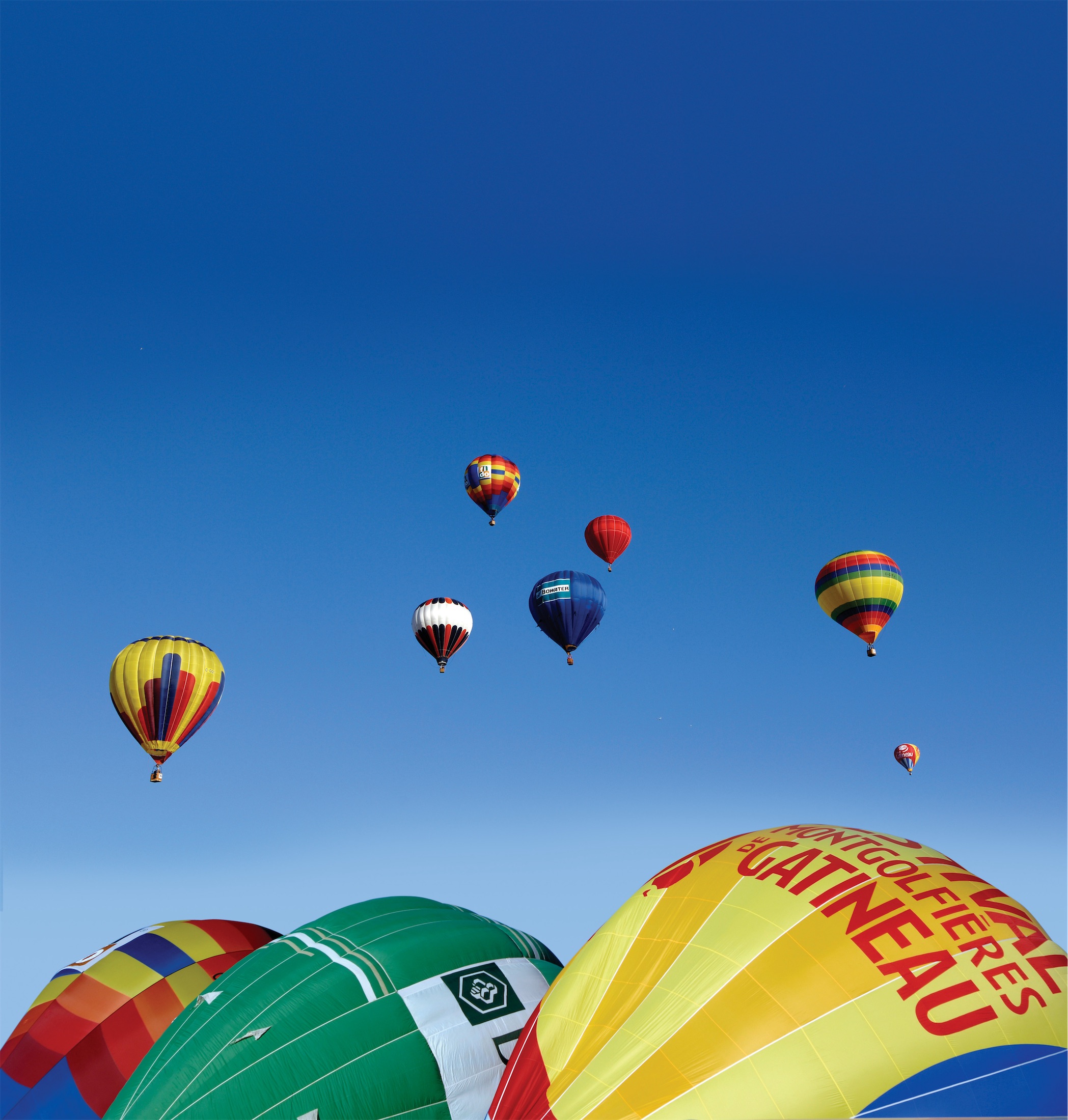 hot air balloons in the sky