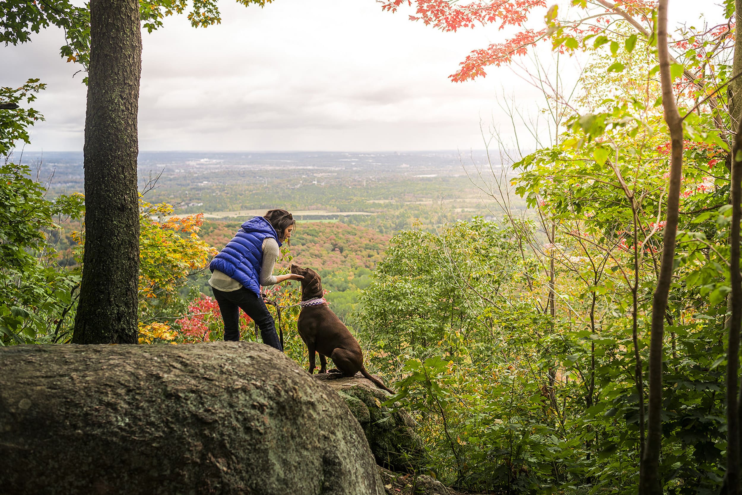 woman and her dog resting at a look off