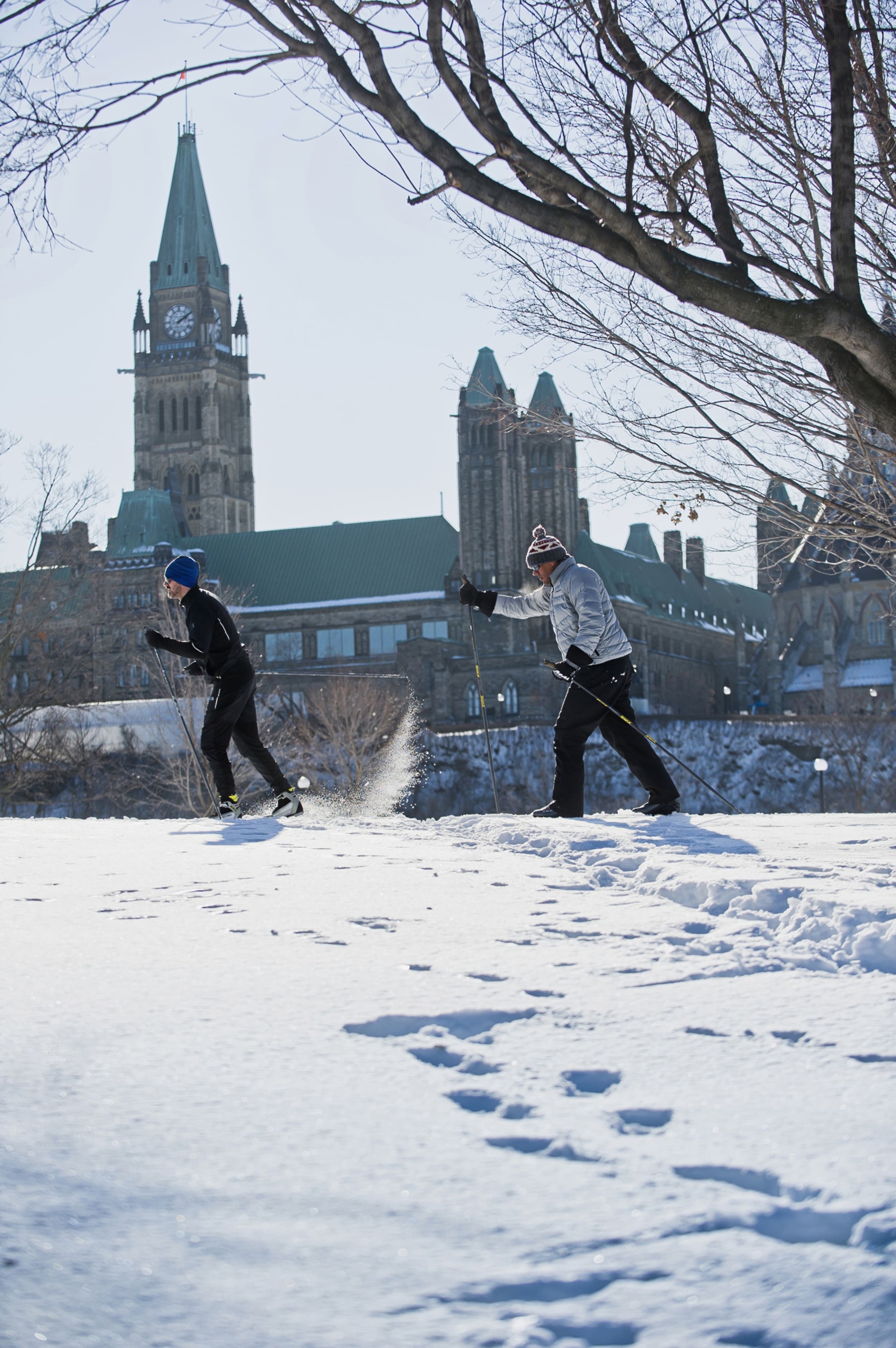 people cross-country skiing near the parliament building